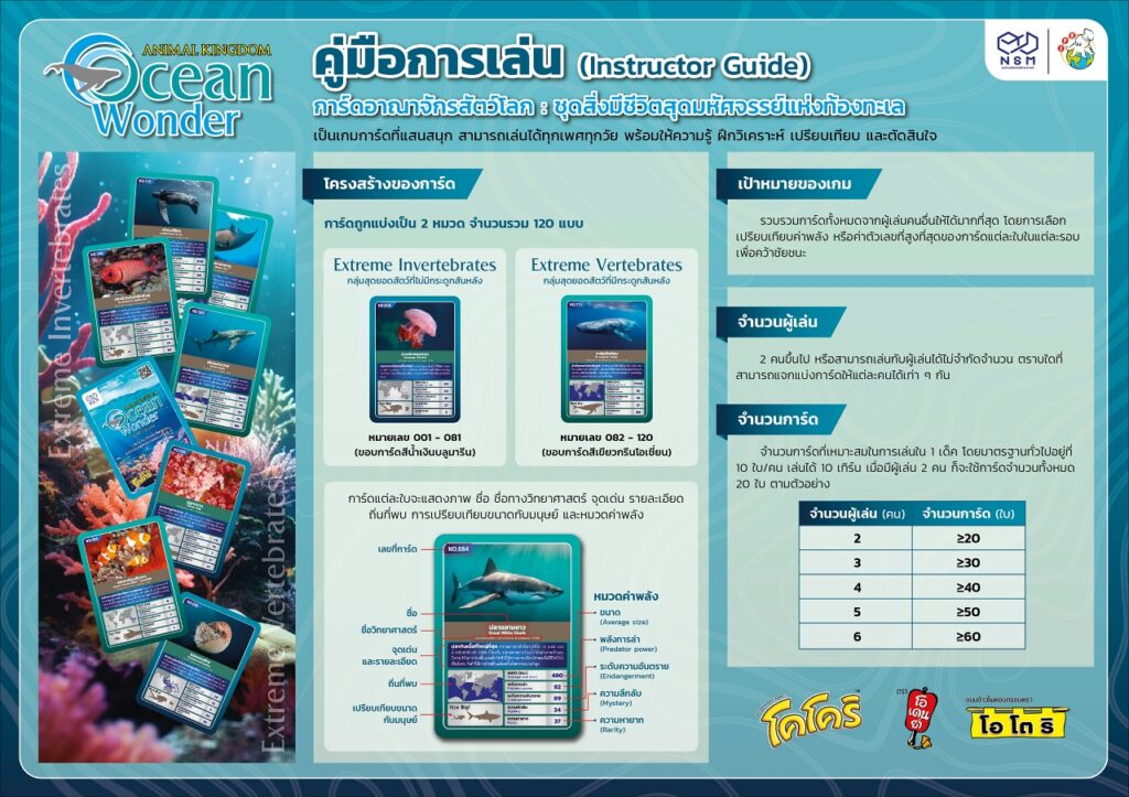 คู่มือการเล่น 